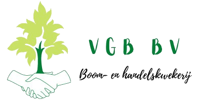 VGB logo png